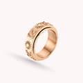 Aurora Stainless Steel Anxiety Ring