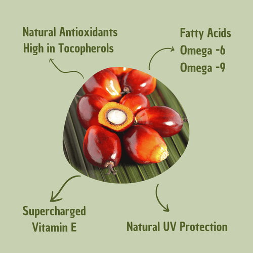 Batana Hair Oil – Natural UV Protection & Environmental Shield for Healthy Hair