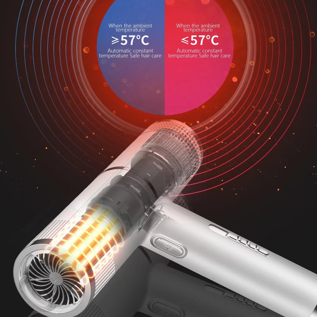 Professional Ionic Hair Dryer
